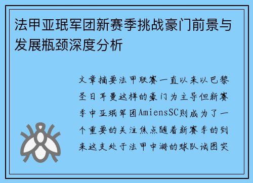 法甲亚珉军团新赛季挑战豪门前景与发展瓶颈深度分析