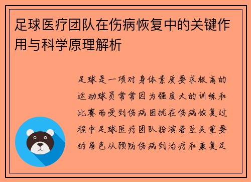 足球医疗团队在伤病恢复中的关键作用与科学原理解析