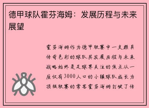 德甲球队霍芬海姆：发展历程与未来展望